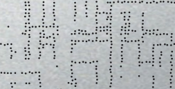 Wild Square 2 20.237 Wild Square 2
