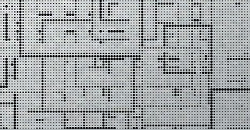 Wild Square 2